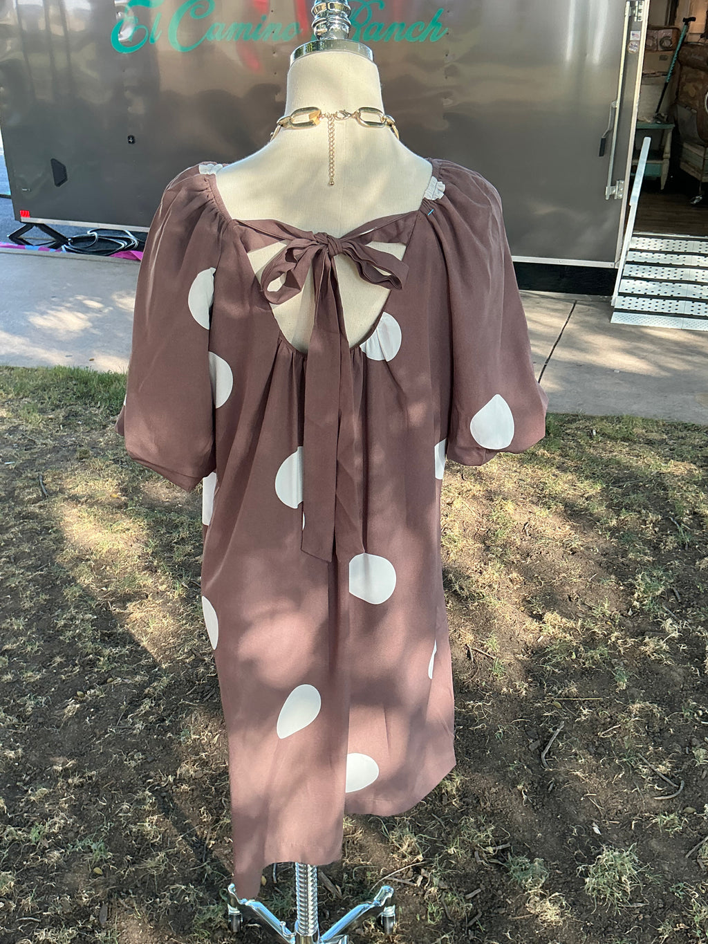 Polka Dot Dress